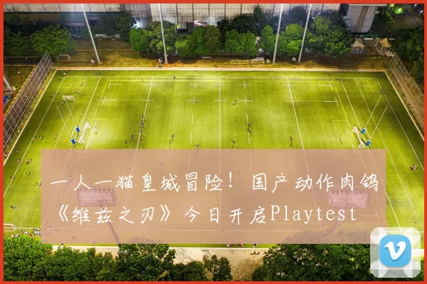 一人一猫皇城冒险！国产动作肉鸽《维兹之刃》今日开启Playtest