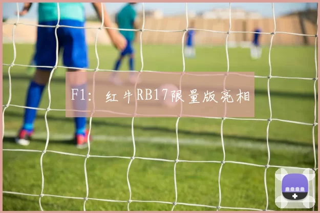 F1：红牛RB17限量版亮相