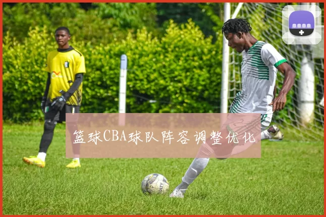 篮球CBA球队阵容调整优化
