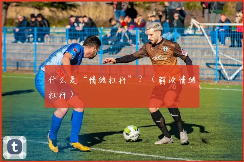 什么是“情绪杠杆”？（解读情绪杠杆）