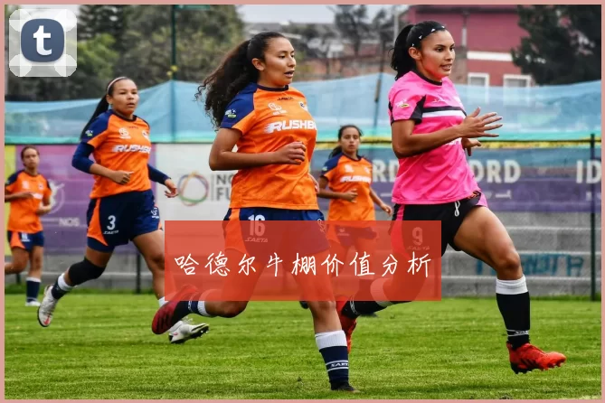 哈德尔牛棚价值分析