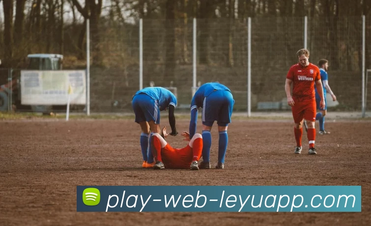 乐鱼体育平台生态图