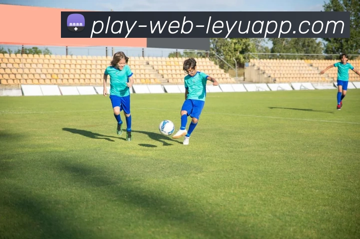 乐鱼体育APP 封面图